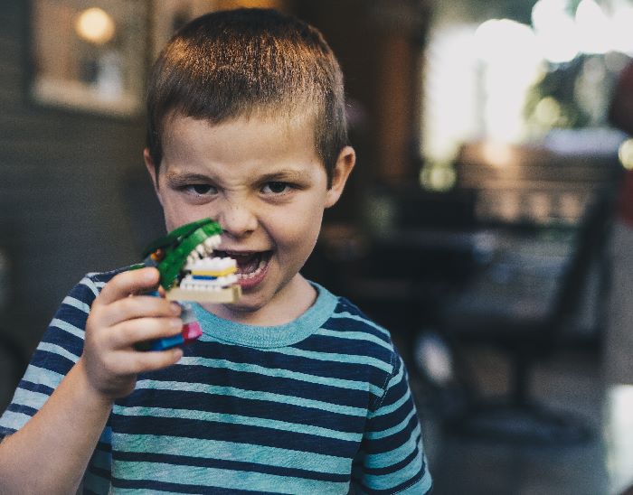 little boy holding mock up jaws