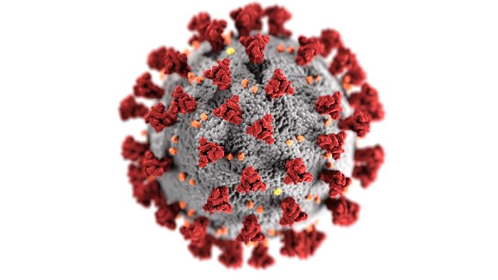 coronavirus SARS-CoV-2